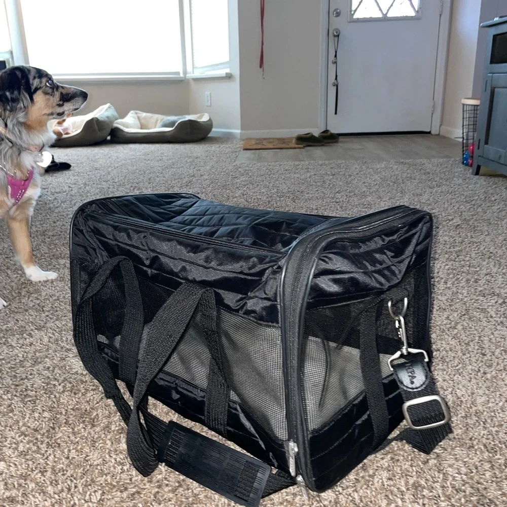 Pet travel carrier - plane friendly